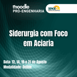 Siderurgia com Foco em Aciaria
