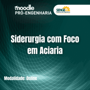 Siderurgia com Foco em Aciaria