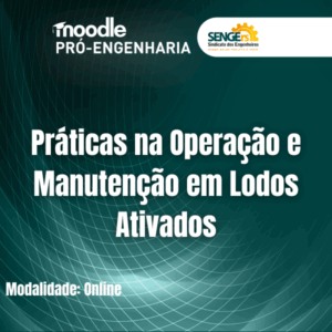 Práticas na Operação e Manutenção em Lodos Ativados